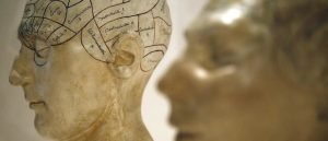 intelligence vs instinct