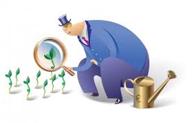 INVESTMENT images. FOR WEBSITE. 2015