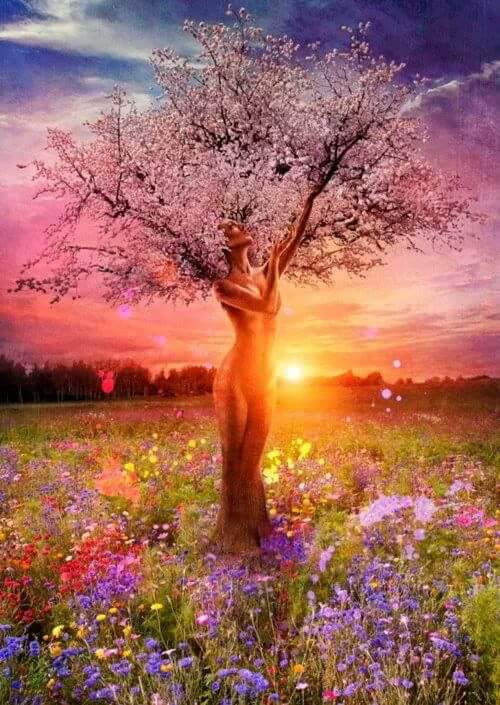 THEWOMANTREE. 2015