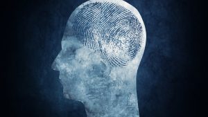 brain prints
