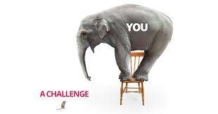 elephant mouse