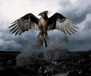 phoenix rising