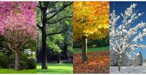 seasons of life